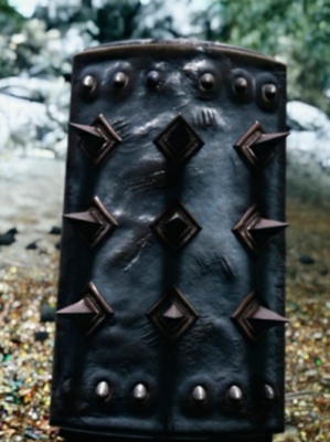 guard2